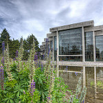 Museum of Anthropology