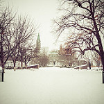 Parliament in the January Snow