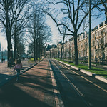 Besides the Mauritshuis