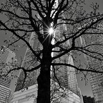 One World Trade Center