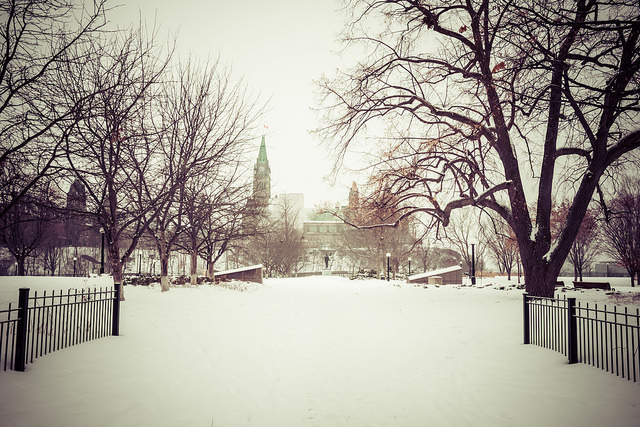 Parliament in the January Snow