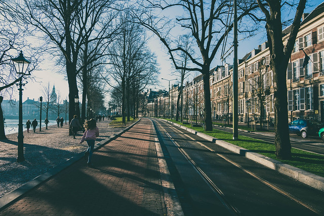 Besides the Mauritshuis