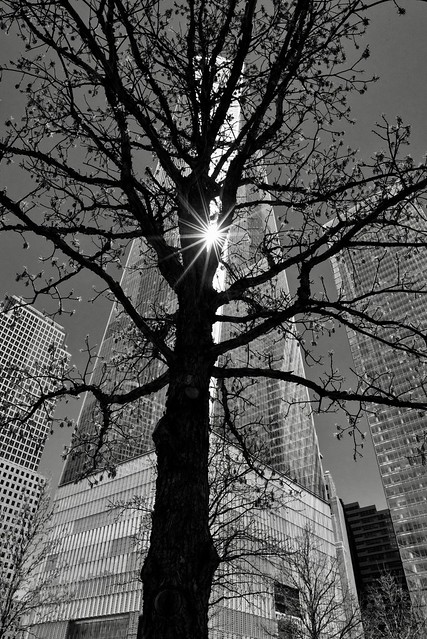 One World Trade Center