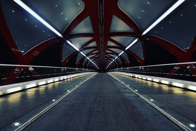 Peace Bridge at Night