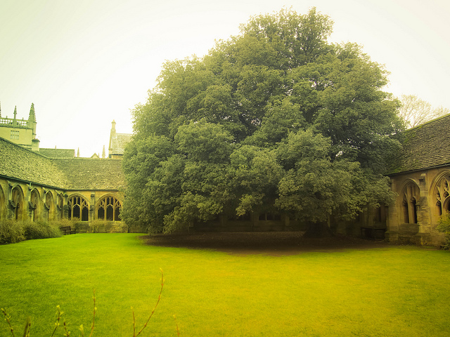 Cloisters, New College, Oxford