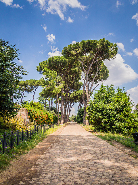 Palatine Hill
